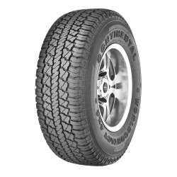 205/70R15C 106/104S...