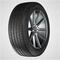 R10651014D1. 205/40R17 84W XL DUNLOP FM800